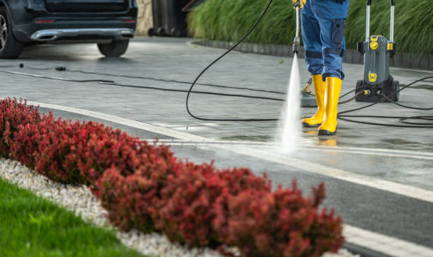 Best Roof Pressure Washing  in Fort Wright, KY